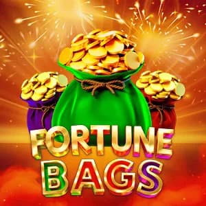 Fortune Bags game cover